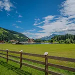 Erwin-1 By Interhome * Kirchberg in Tirol