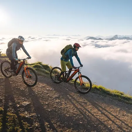 Erwin-1 By Interhome *