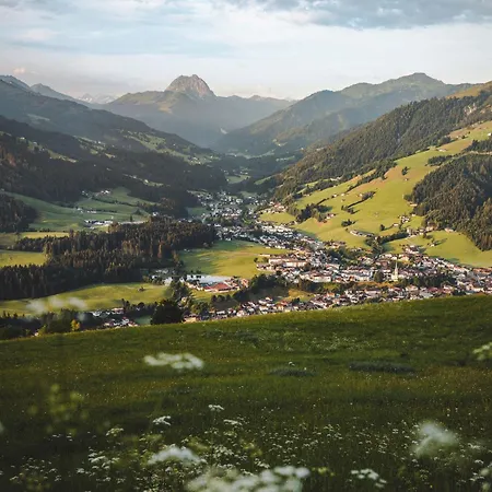 Erwin-1 By Interhome דירה קירשברג אין טירול