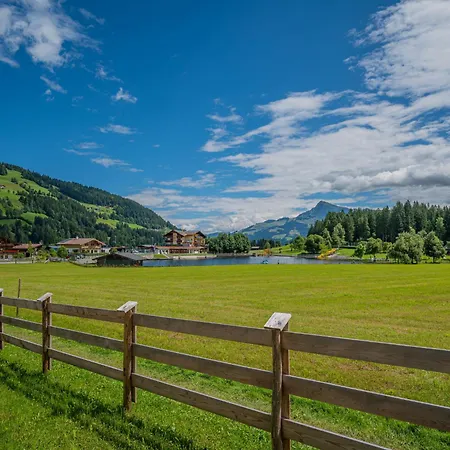 Erwin-1 By Interhome * קירשברג אין טירול