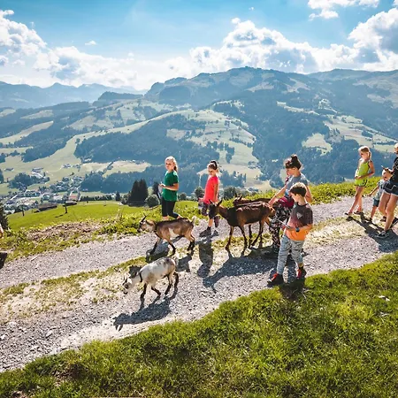 Erwin-1 By Interhome * Kirchberg in Tirol